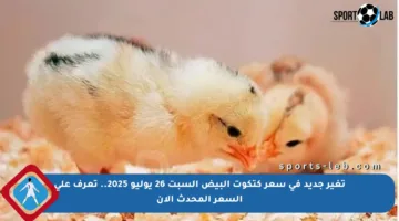 تغير جديد في سعر كتكوت البيض السبت 26 يوليو 2025.. تعرف على السعر المحدث الآن